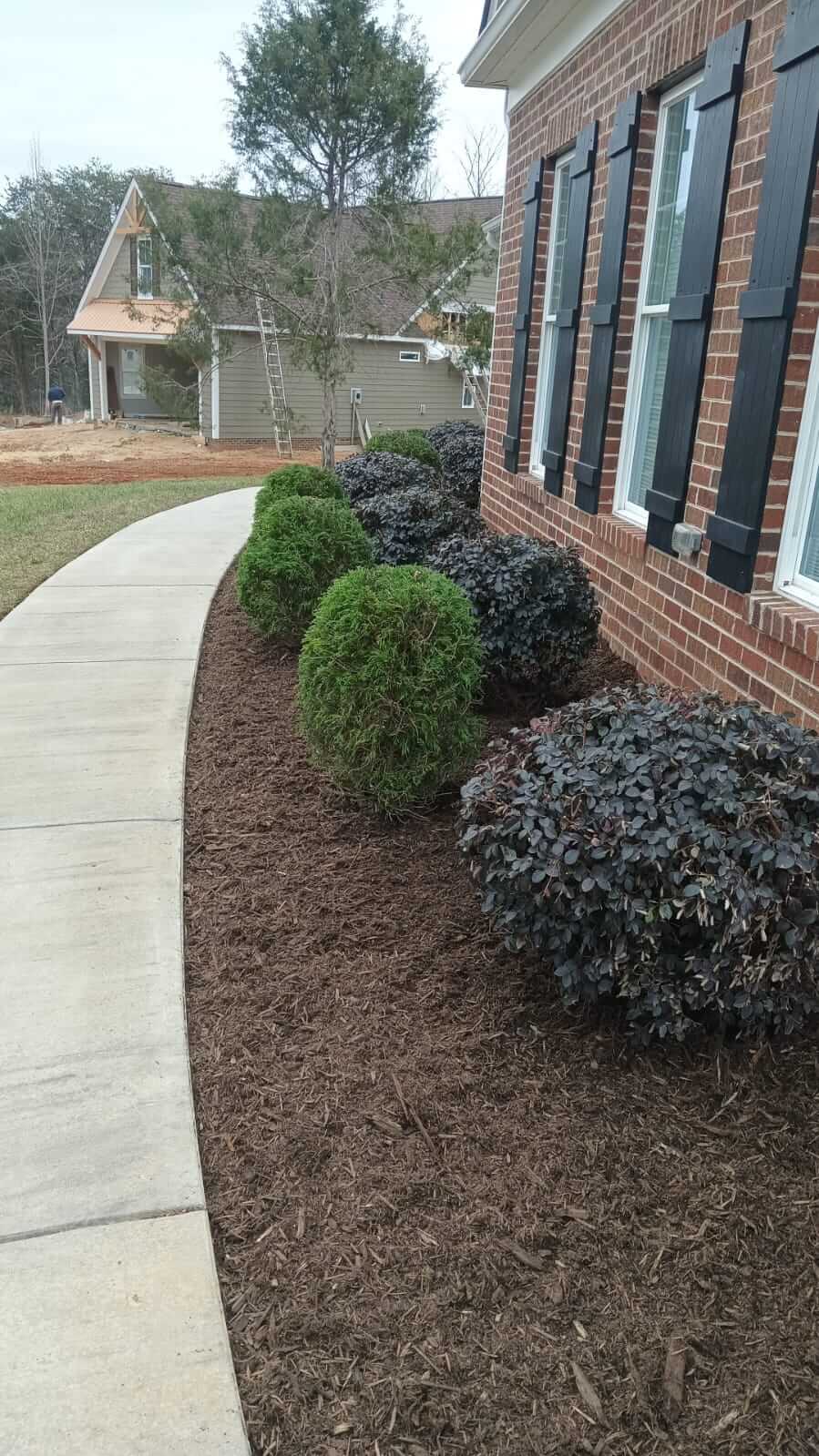 Reliable Mulching Services to Protect and Beautify Your Landscape