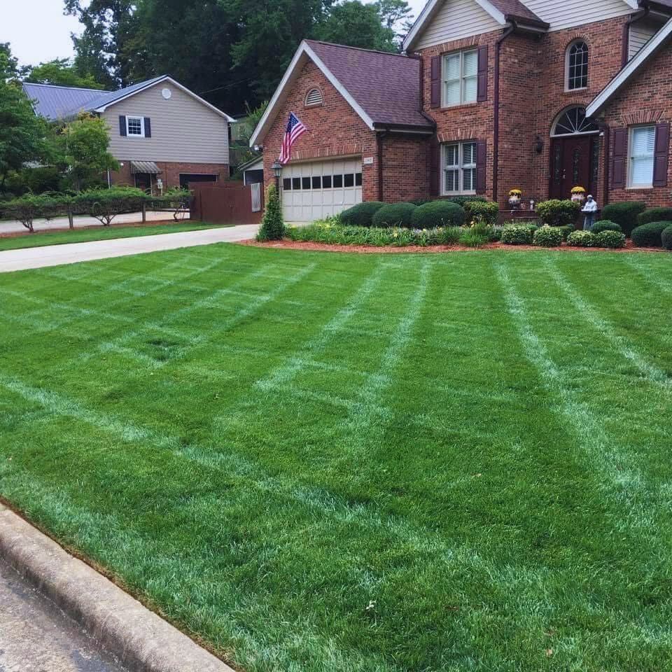 🌿 Professional Landscaping Services Designed to Enhance Your Property