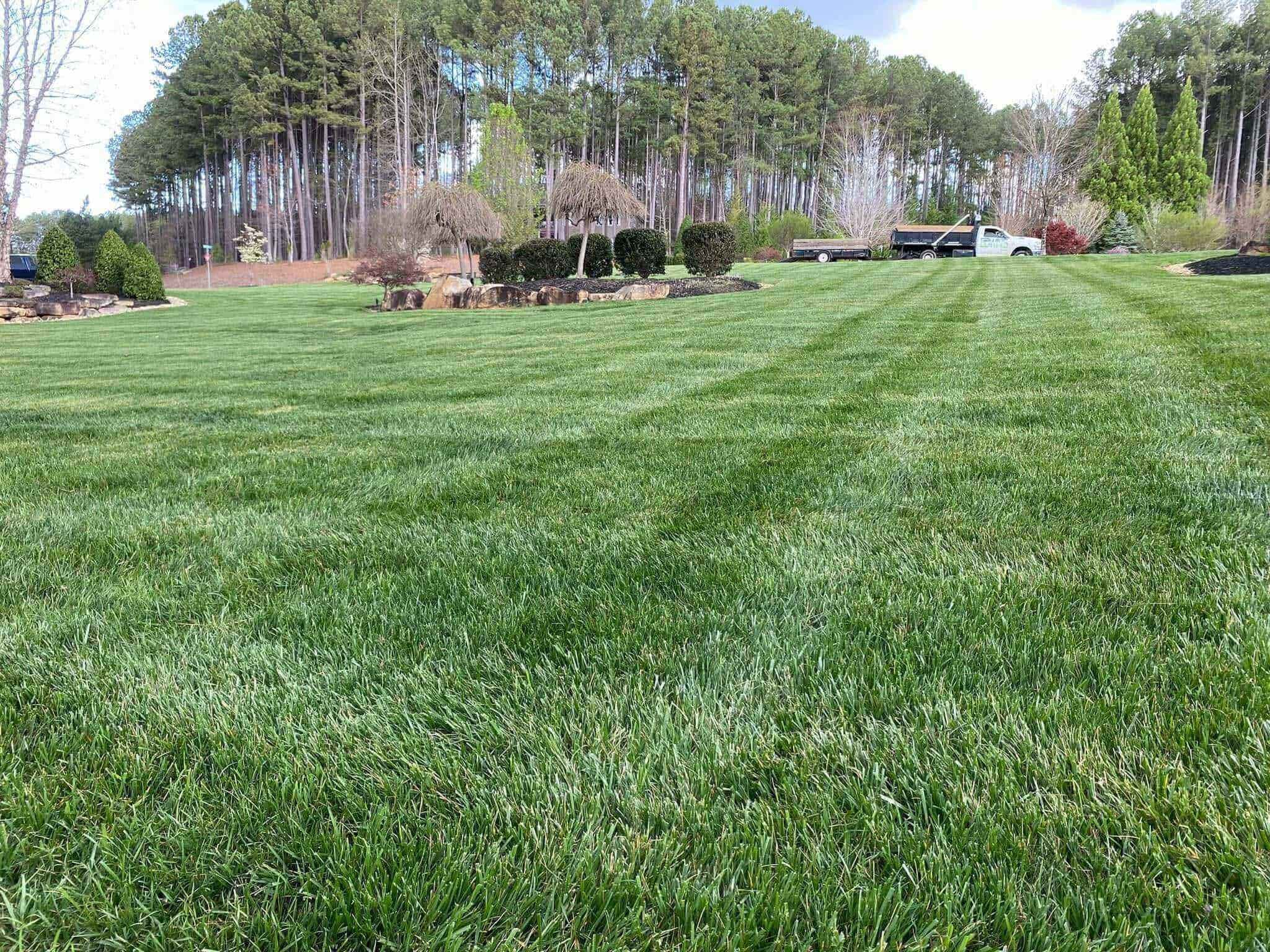 Expert Landscaping Solutions for a Beautiful and Healthy Outdoor Space