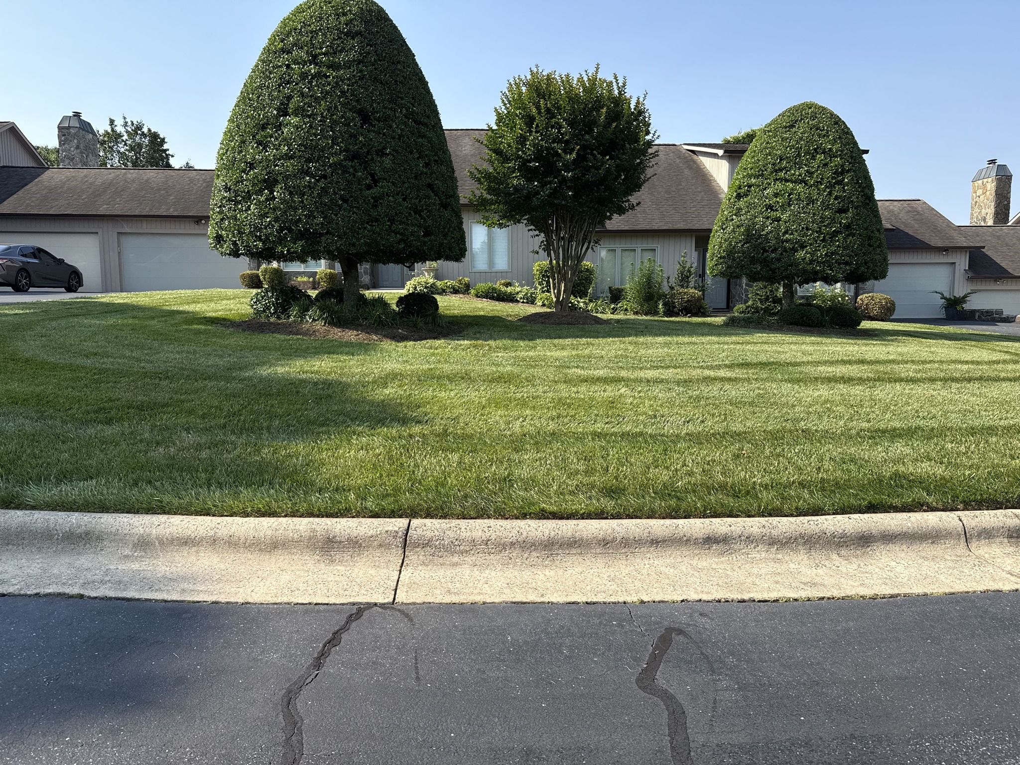 Professional Landscaping Solutions for Beautiful and Healthy Outdoor Spaces