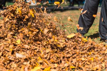 🧹 Professional Gutter Cleaning to Protect Your Home